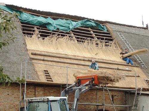 
house repair using traditional reed material (Stolpe)
Bauwerke/Gebäude
