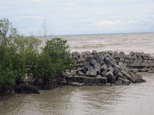 Pontianak, West-Kalimantan
Coastal protection scheme combining mangrove trees with &quot;hard structures&quot;.<br />
Erosion, Küstenschutz
